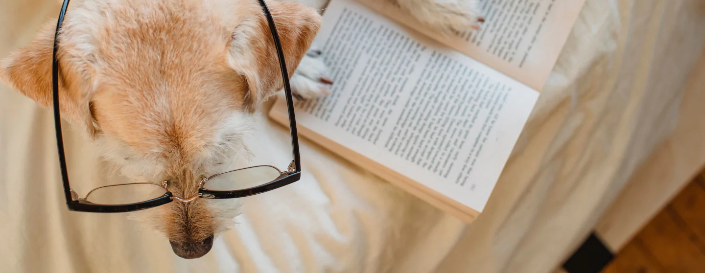 The Reader Changed